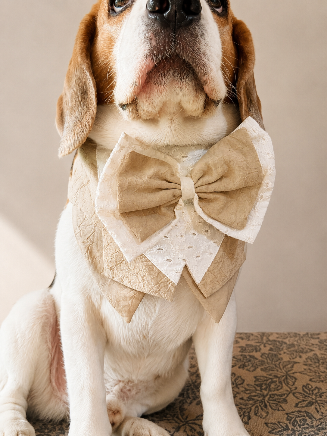 Beige Tuxedo Bandana