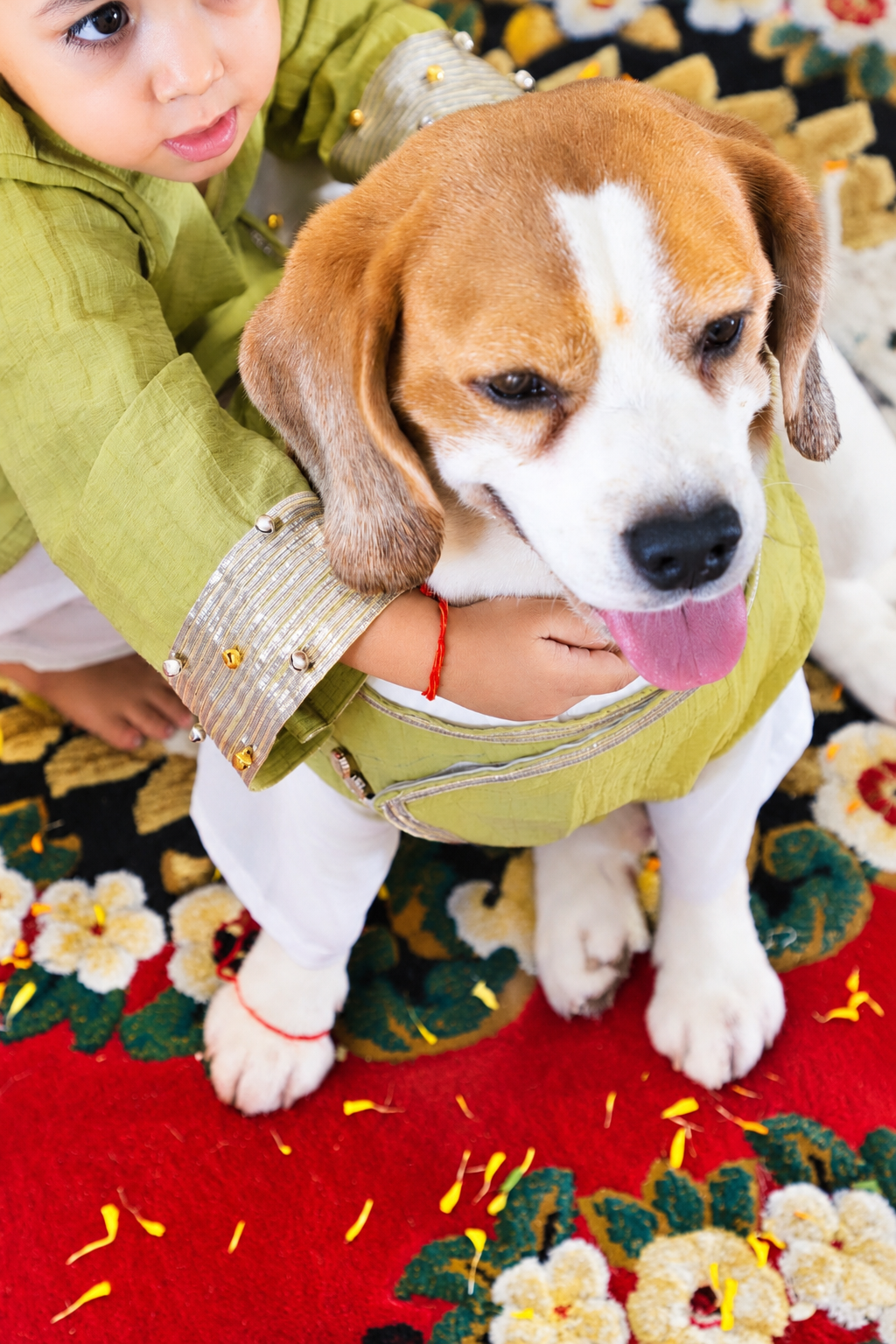 Lime Green Angrakha with Tulip pants