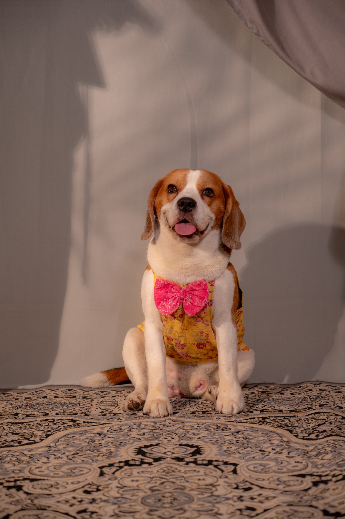 Yellow printed Twinning set