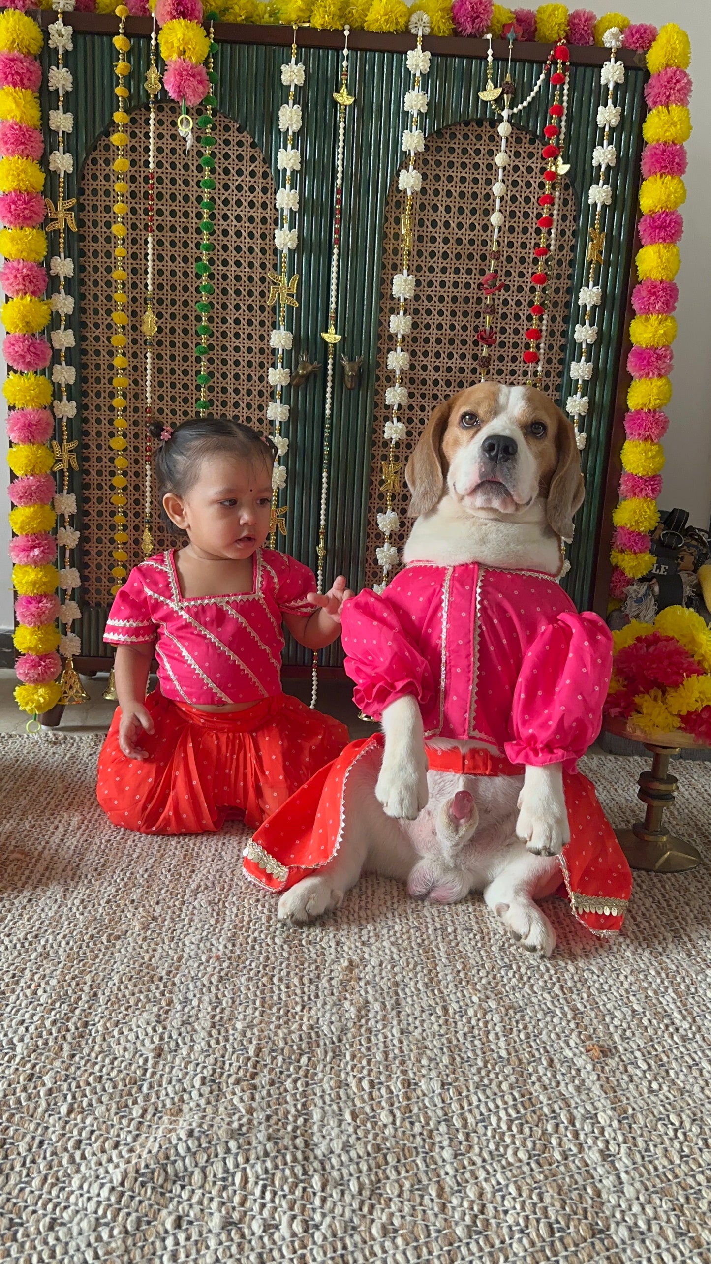 Pink Lehenga choli Twinning set