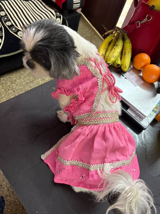 Pink Lehenga Set