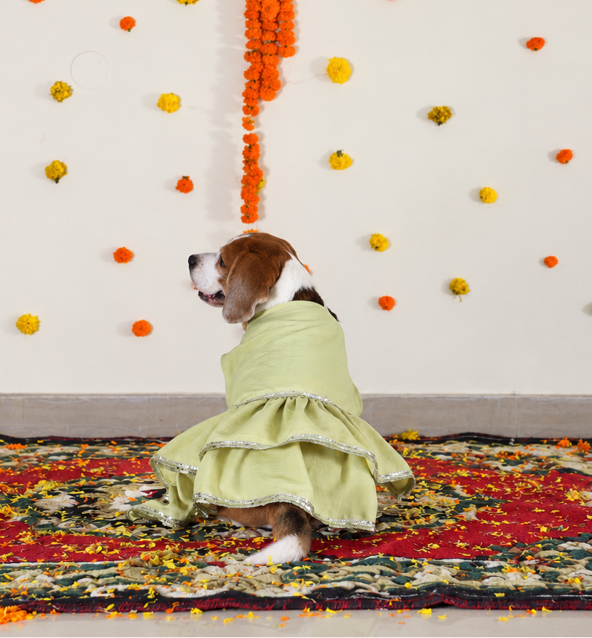 Lime Green Frock