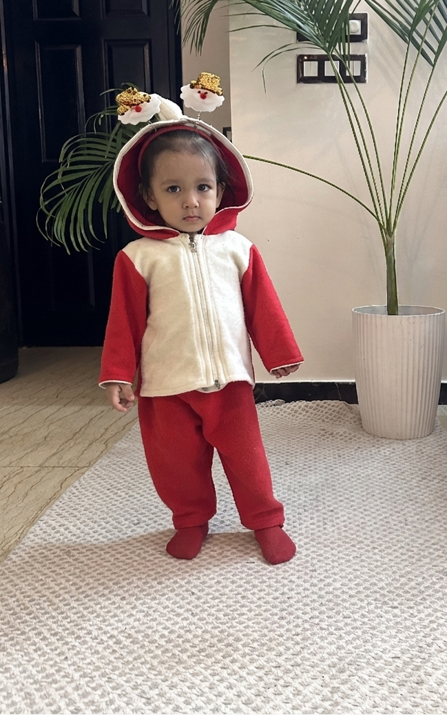 Red Dinosaur Hoodie Co-ord set