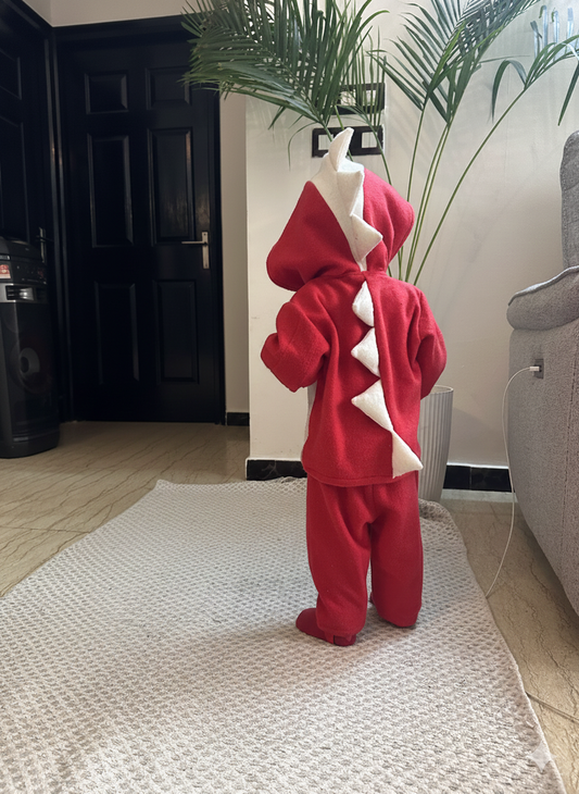 Red Dinosaur Hoodie Co-ord set