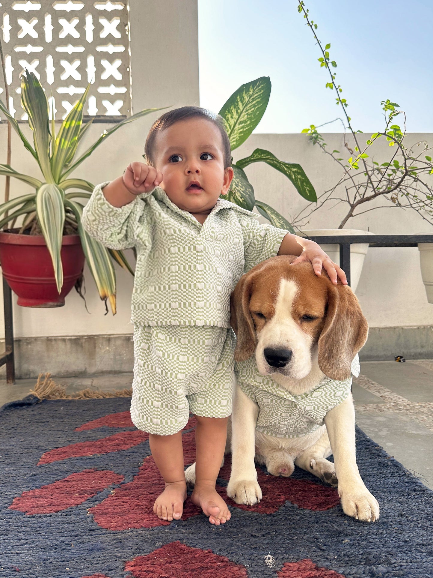 Green T-Shirt Co-ord set