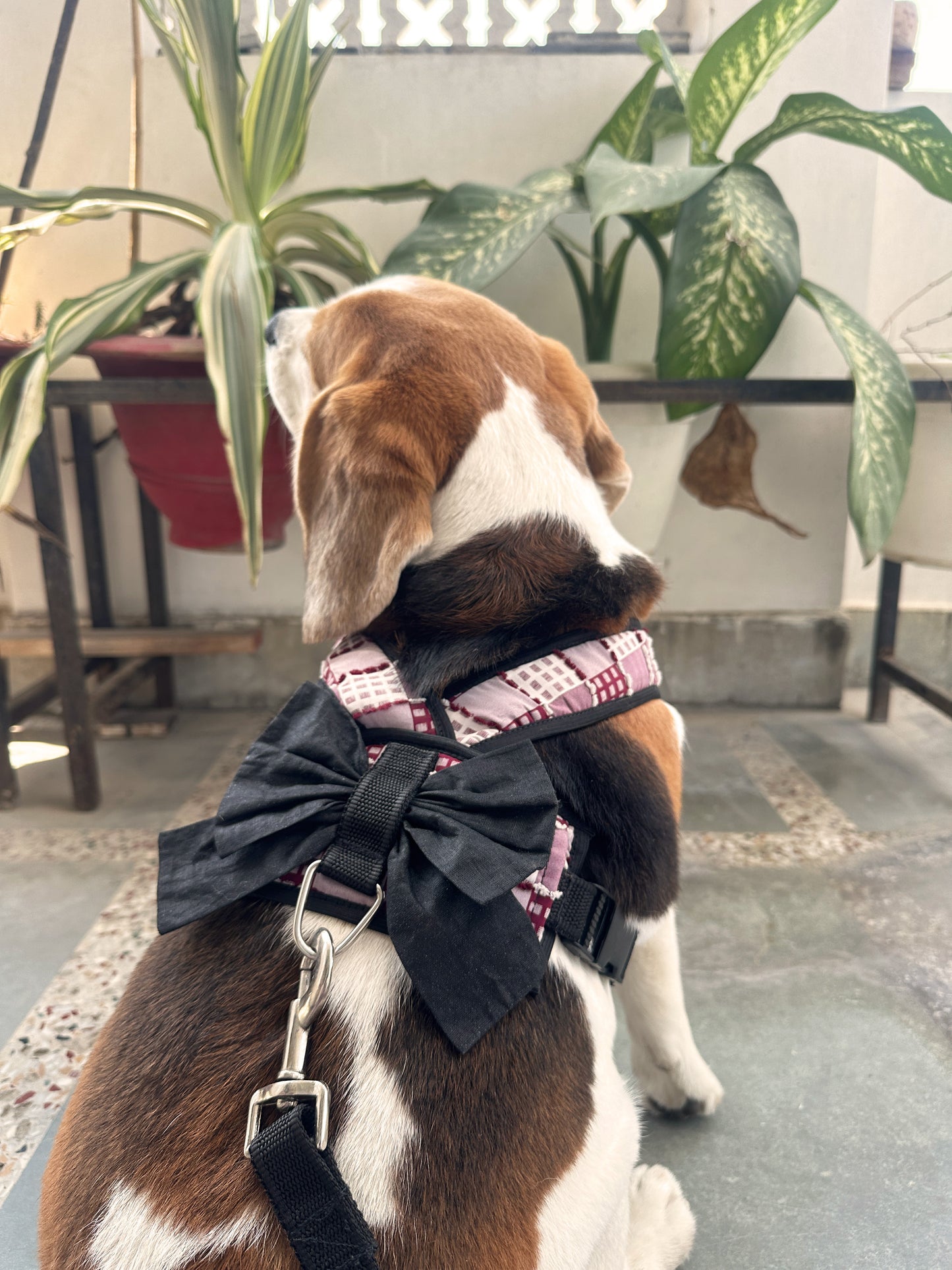 Red Checked Harness Twinning Set