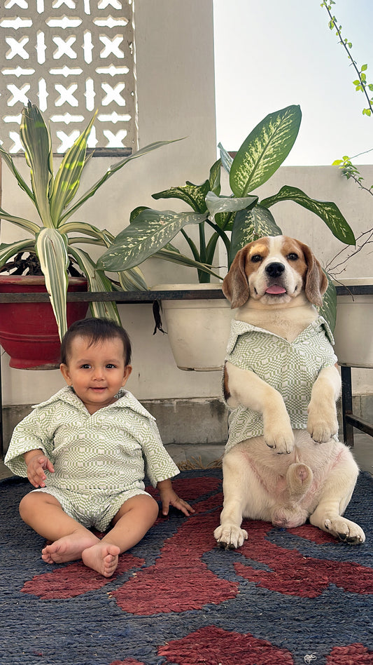Green T-Shirt Twinning Set