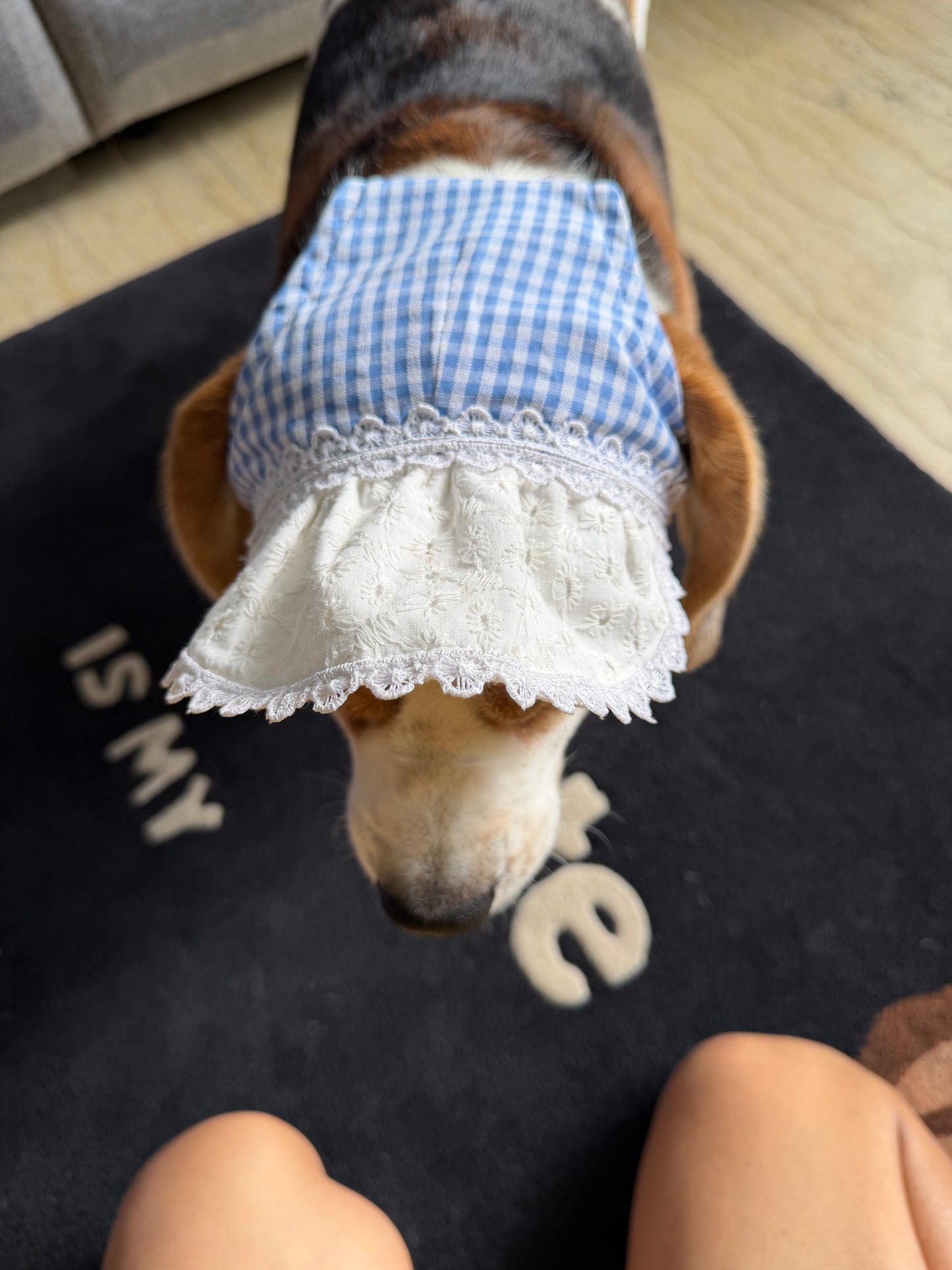 Blue Checked T-Shirt Twinning Set