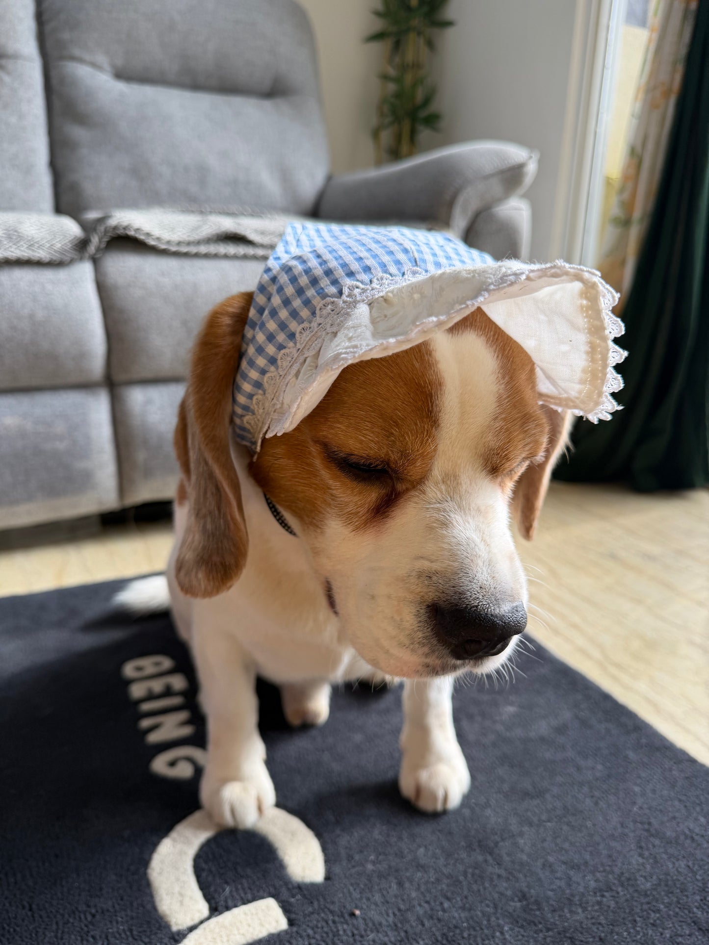 Blue Checkered Cap