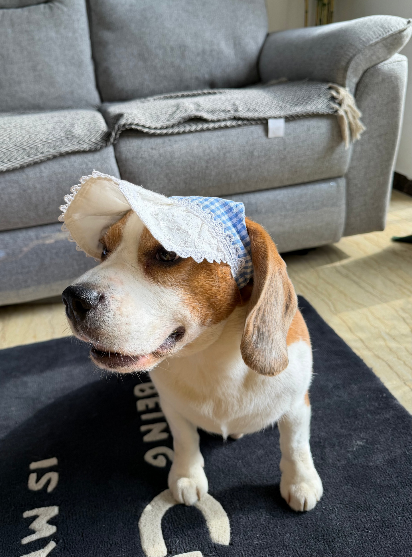 Blue Checkered Cap
