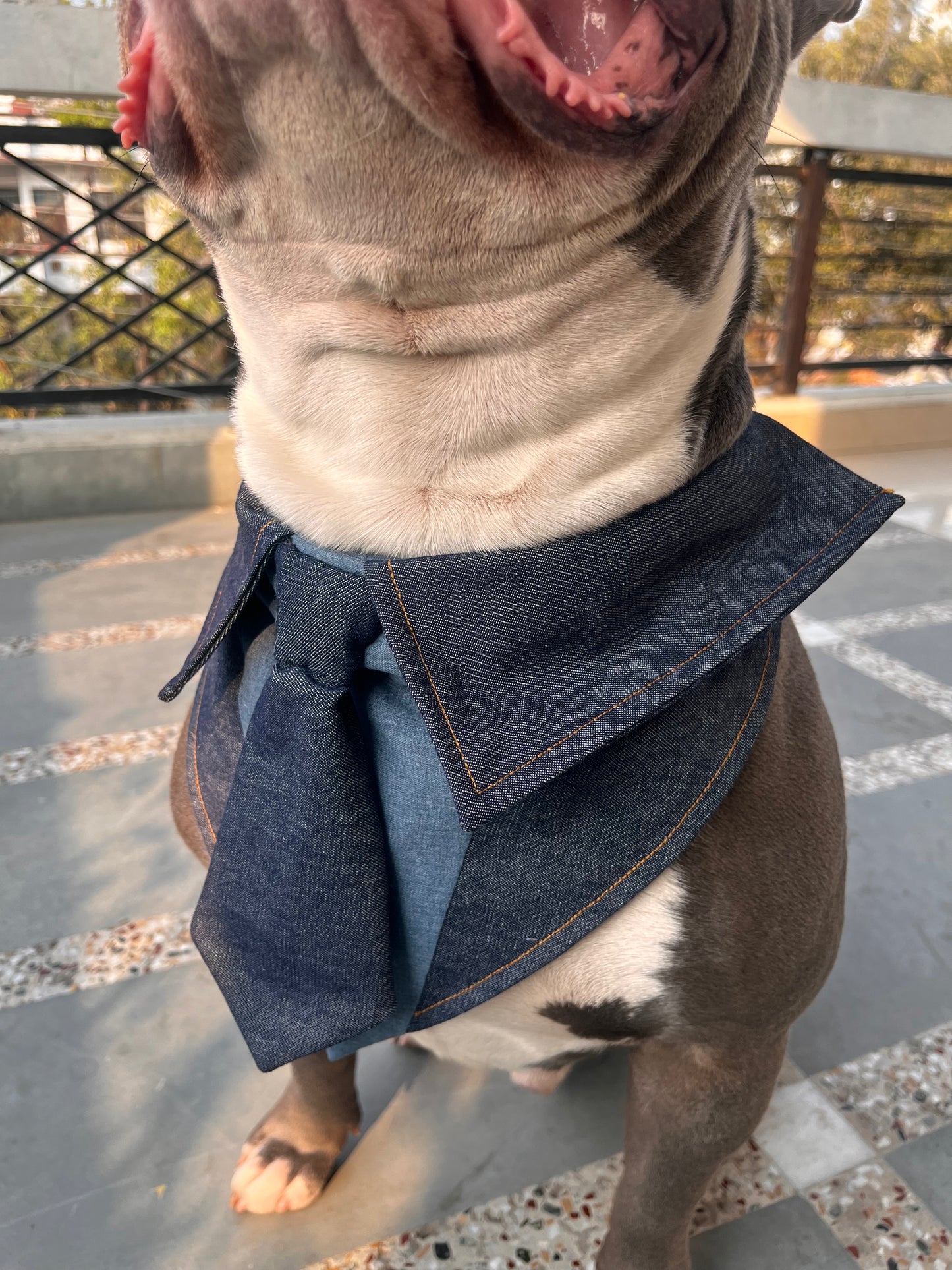 Denim Tuxedo Bandana