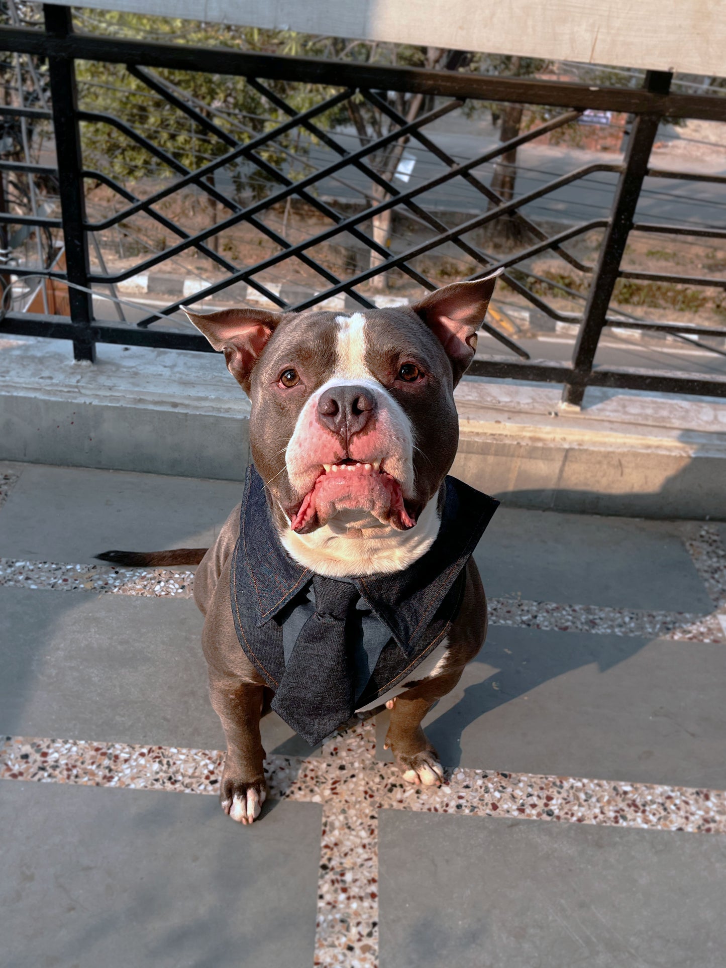 Denim Tuxedo Bandana