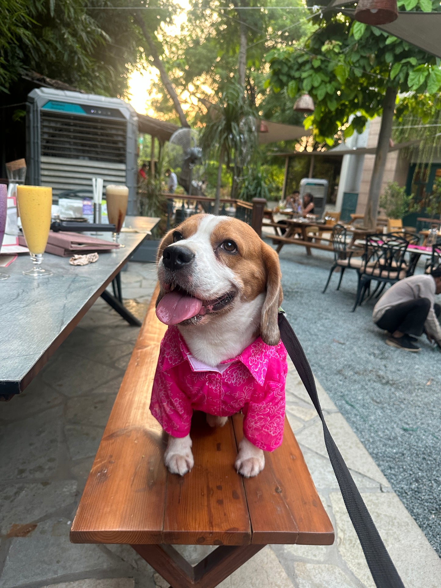 Rani Pink Twinning set