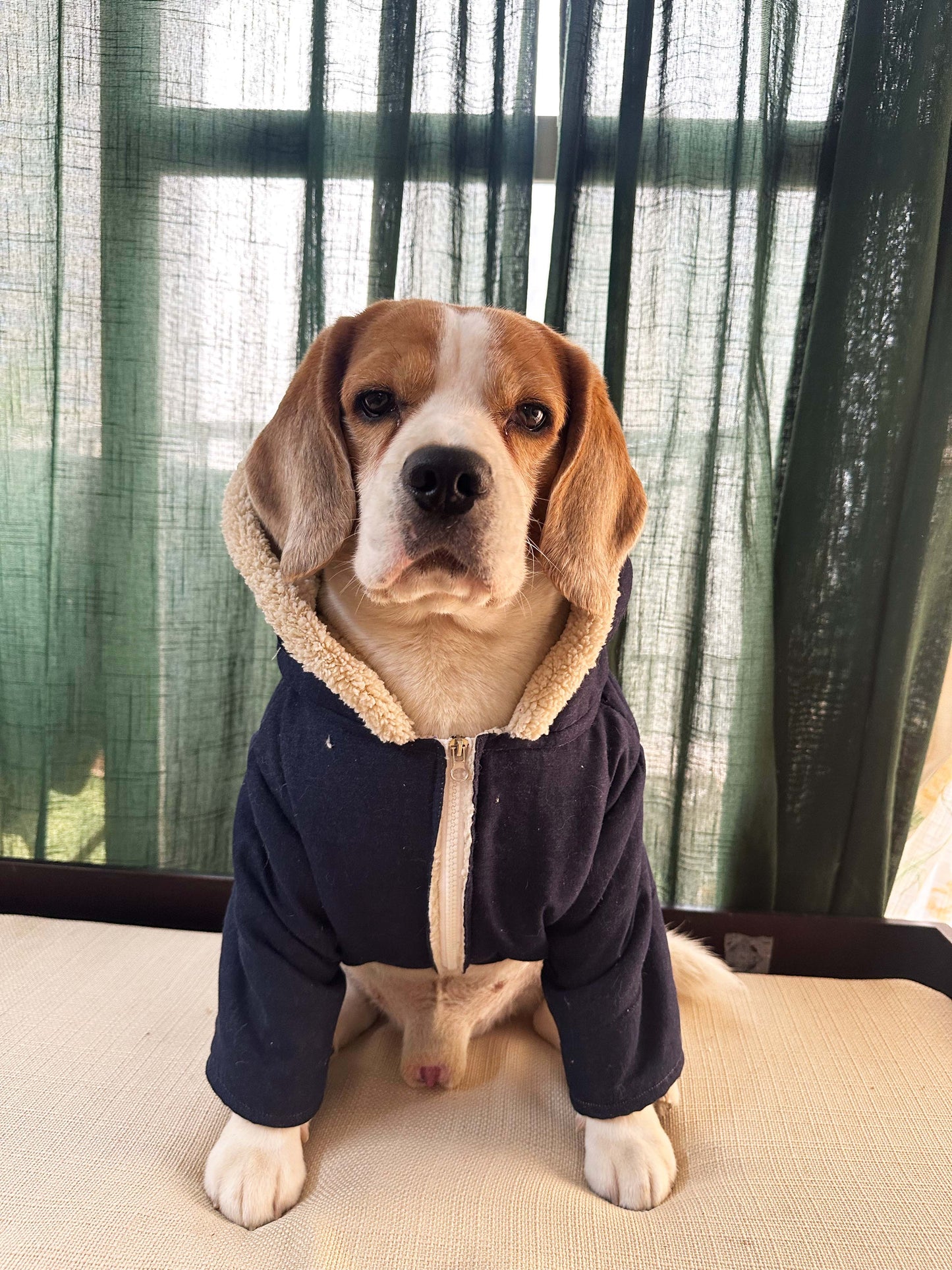 Denim teddy Jacket Twinning set