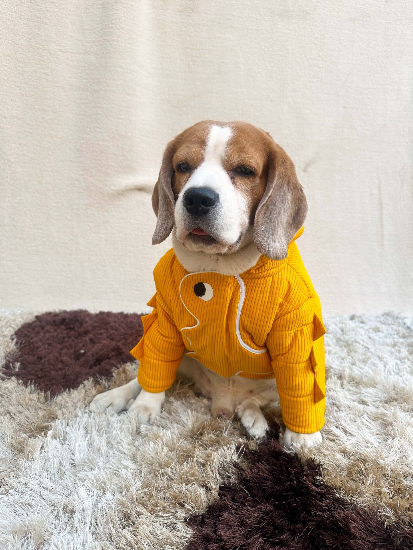 Yellow Dinosaur Hoodie Jacket