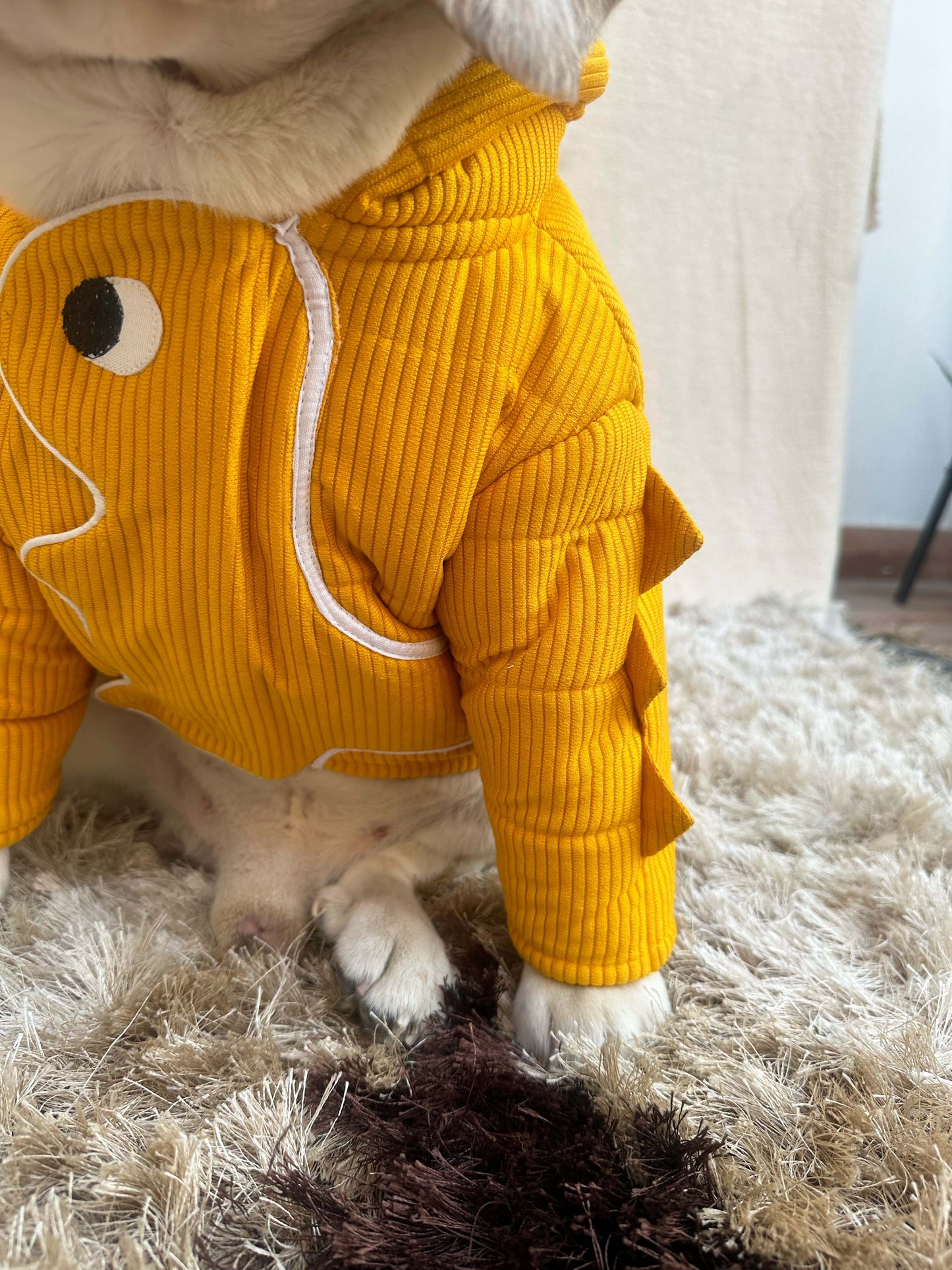 Yellow Dinosaur Twinning Jacket