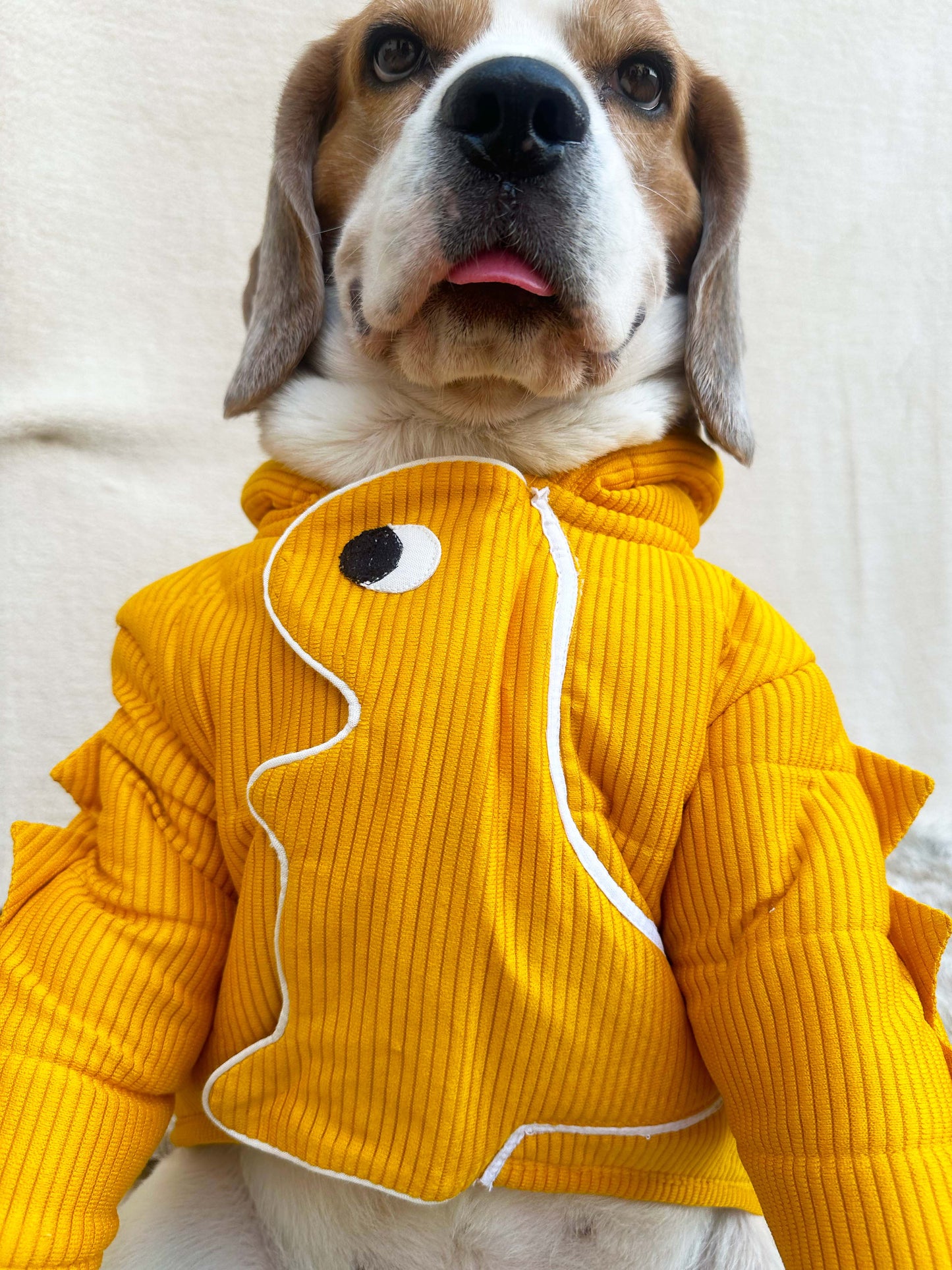 Yellow Dinosaur Hoodie Jacket