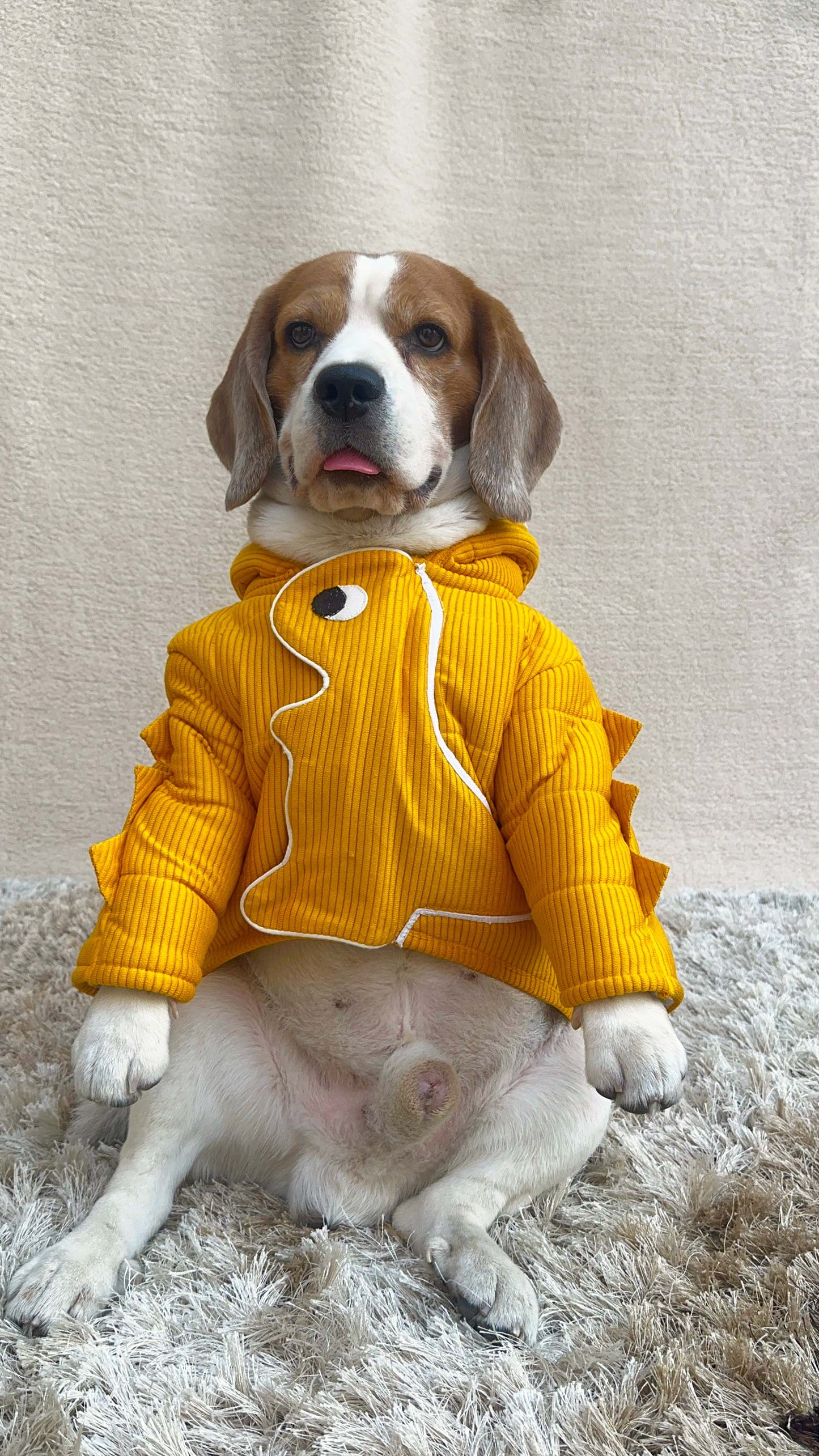 Yellow Dinosaur Twinning Jacket