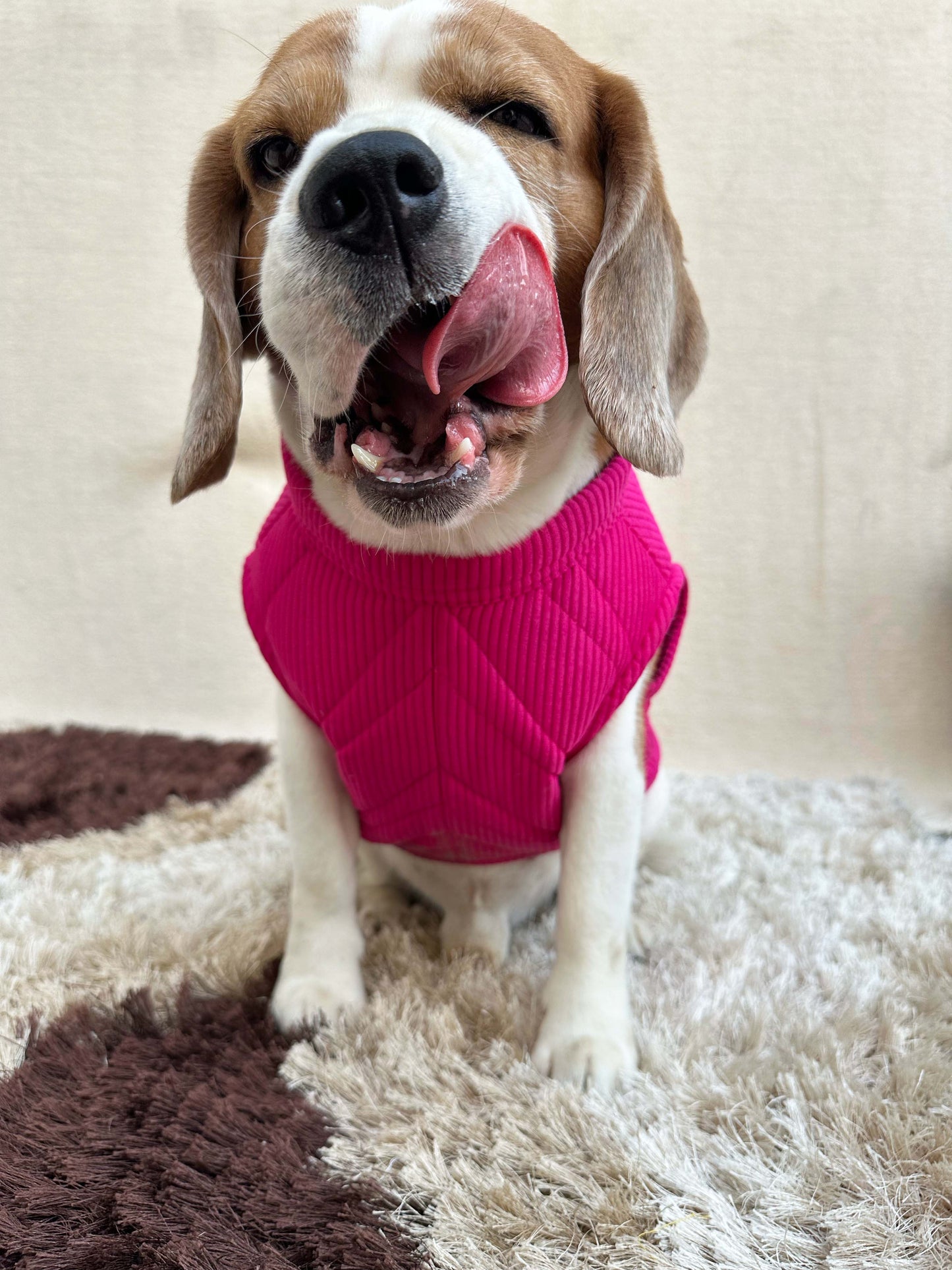 Pink Duck Sleeveless Jacket