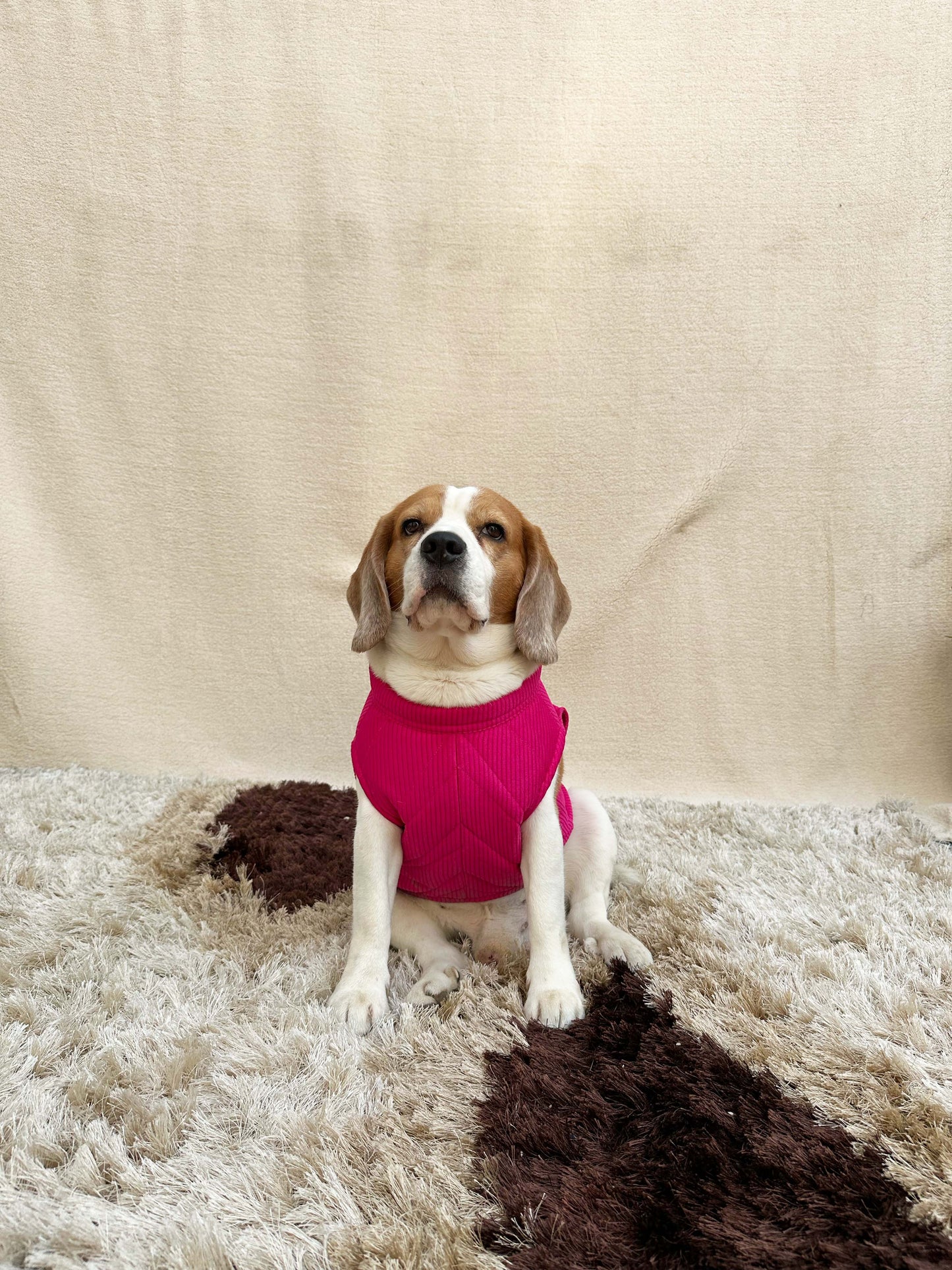 Pink Duck Sleeveless Jacket