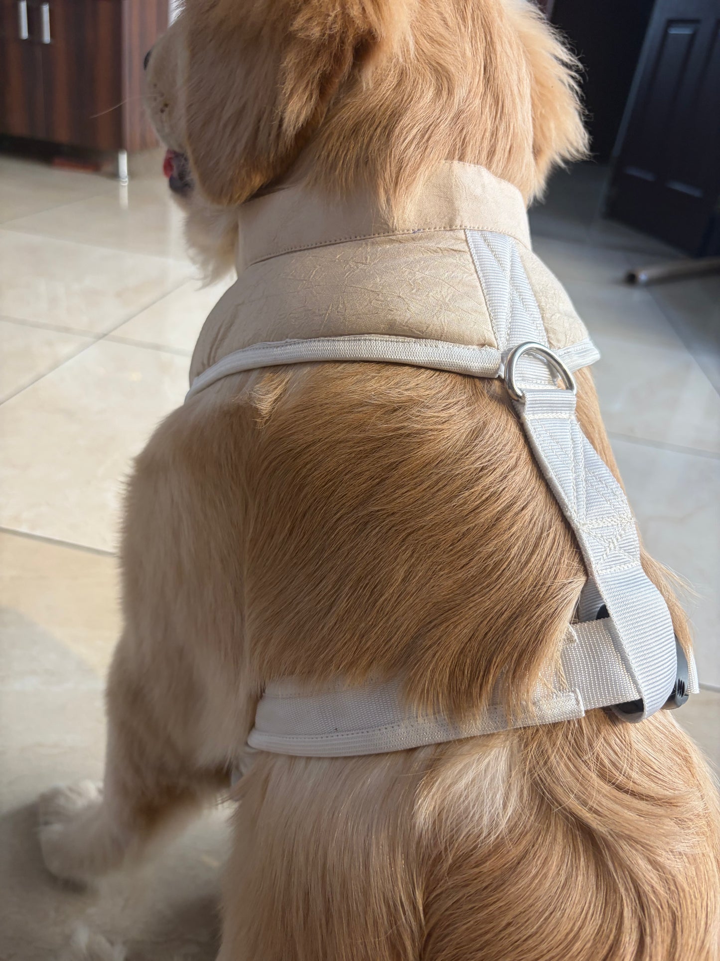 Beige Kurta Harness