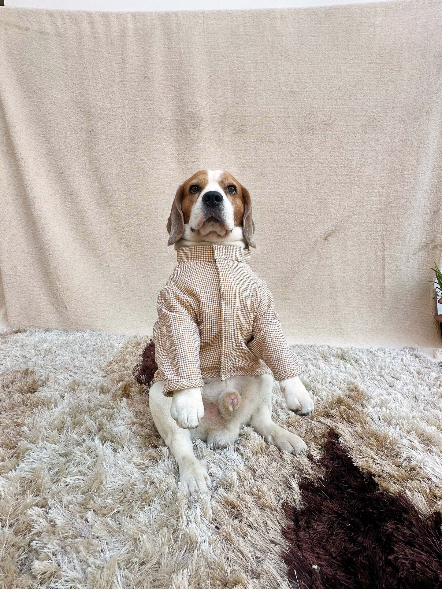 Yellow quilted Night Suit Twinning set