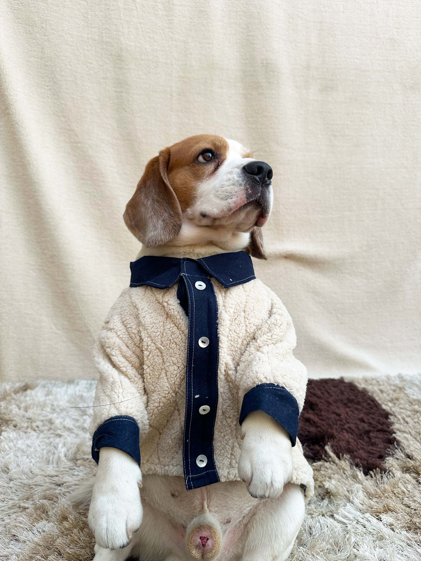 Denim Fleece Twinning Shirt set