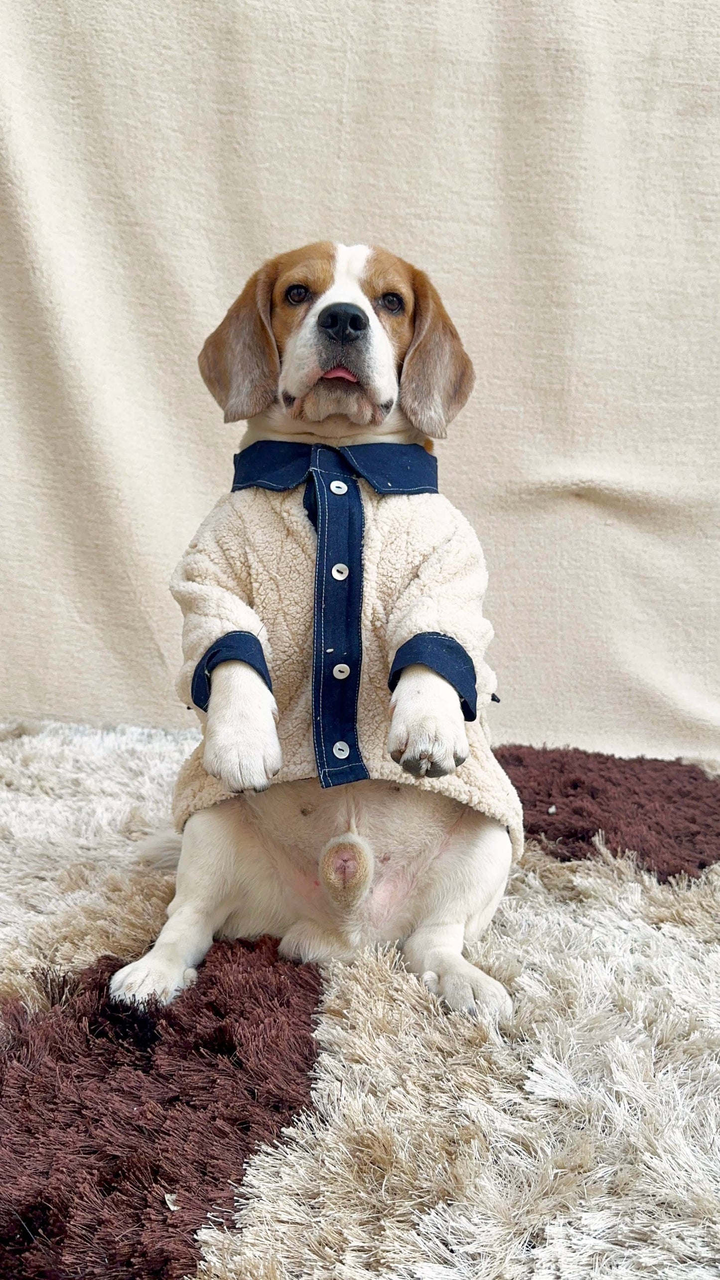 Beige Fleece Denim Shirt