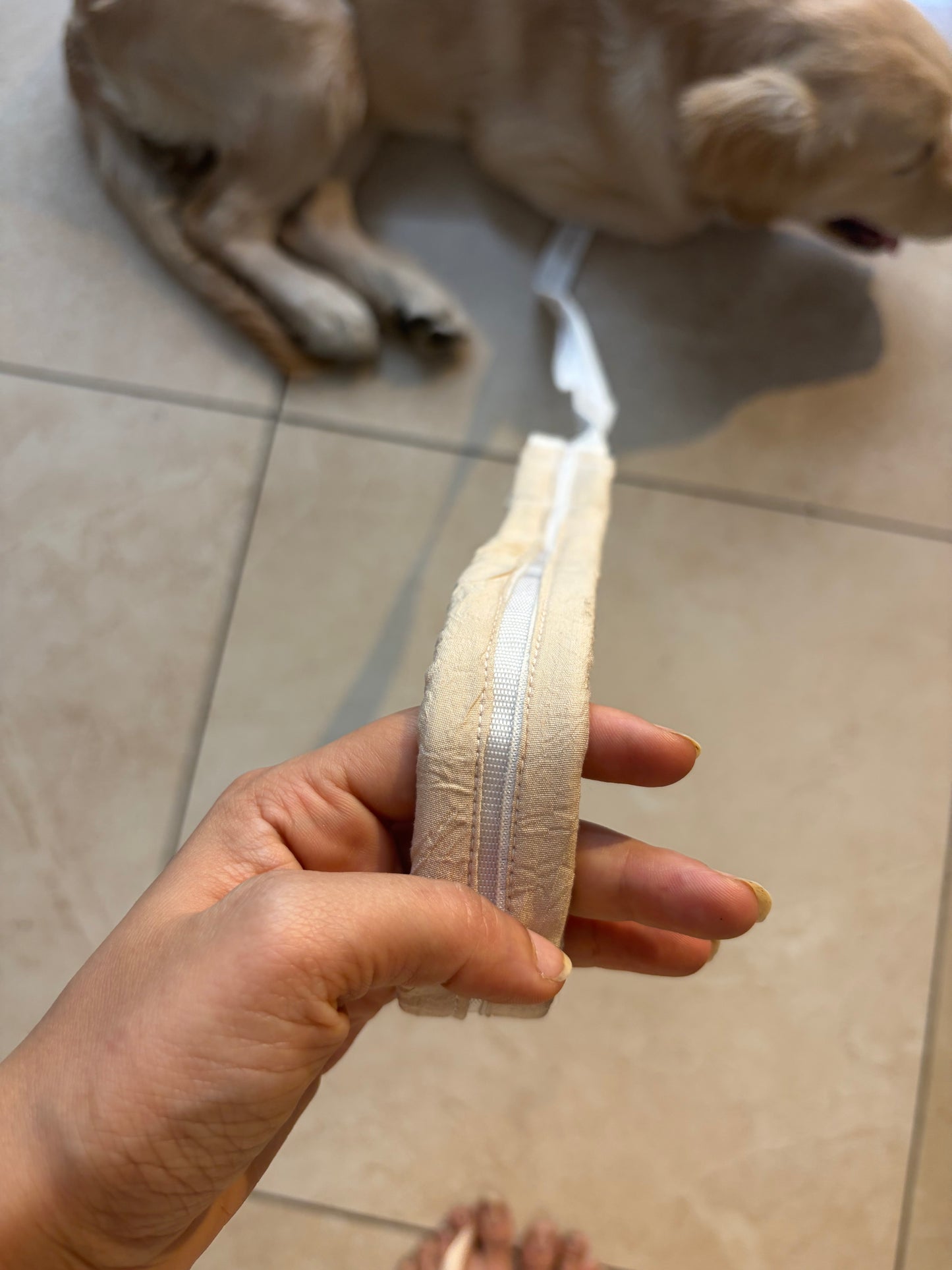 Beige Kurta Harness