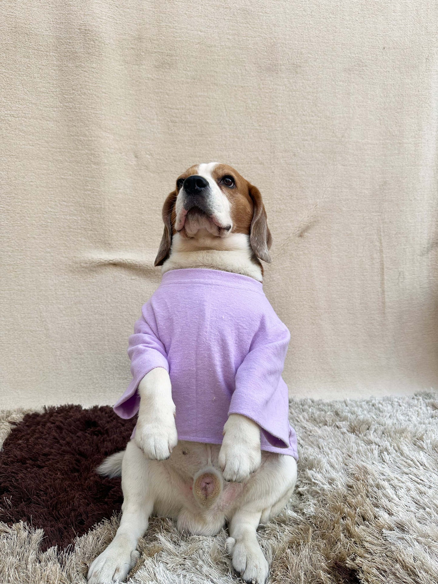 Lilac Sweatshirt Twinning set