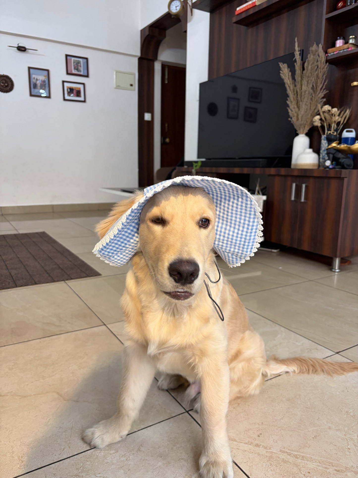 Blue Gingham  Hat Twinning set