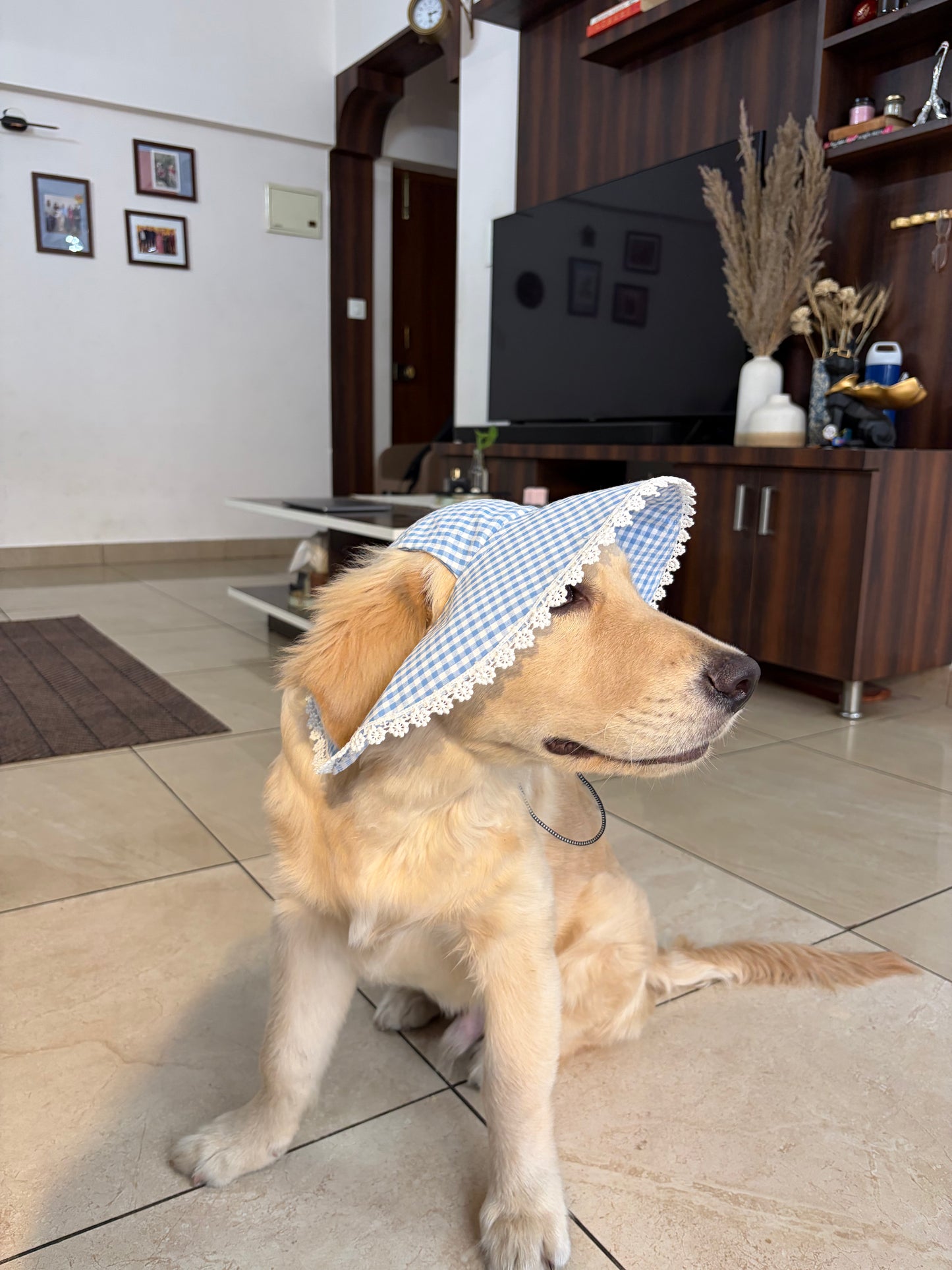 Blue Checkered Hat