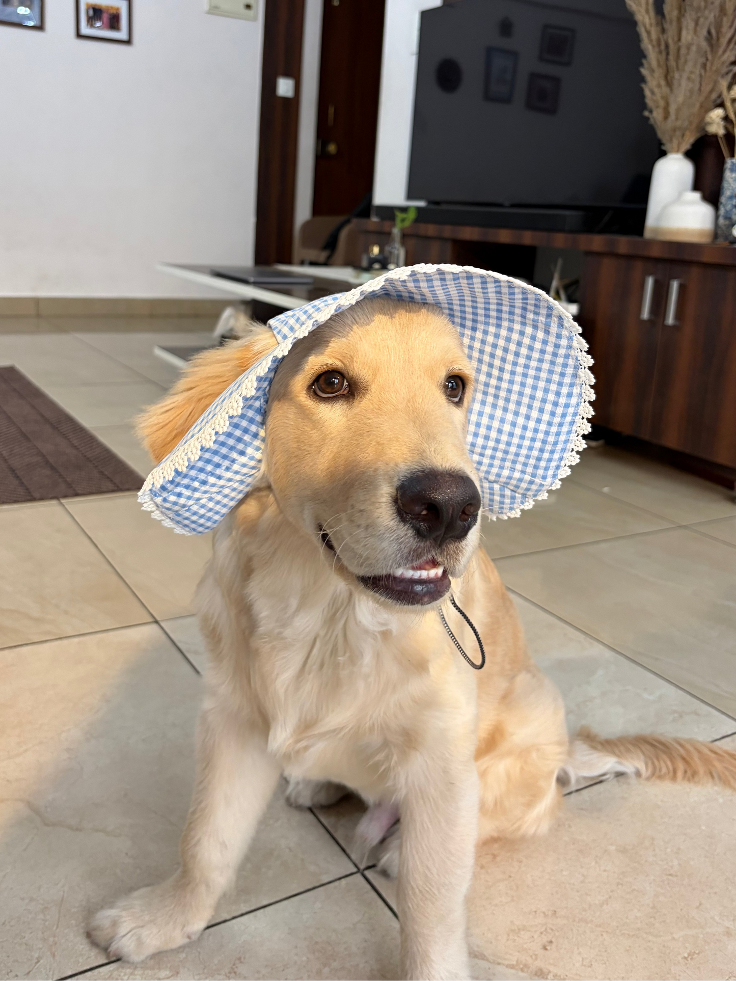 Blue Gingham  Hat Twinning set