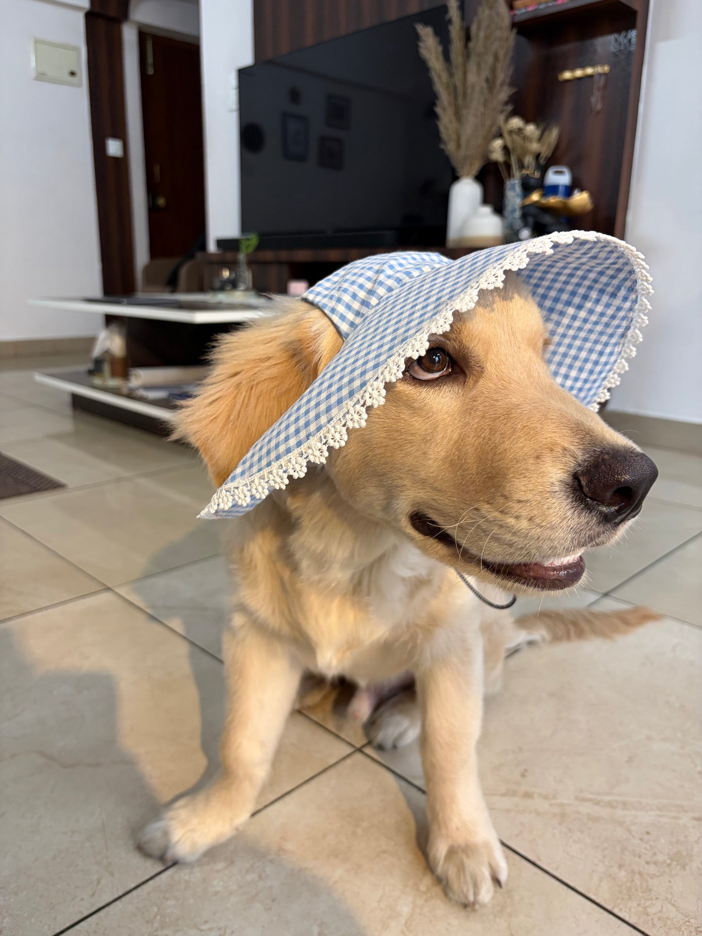 Blue Gingham  Hat Twinning set
