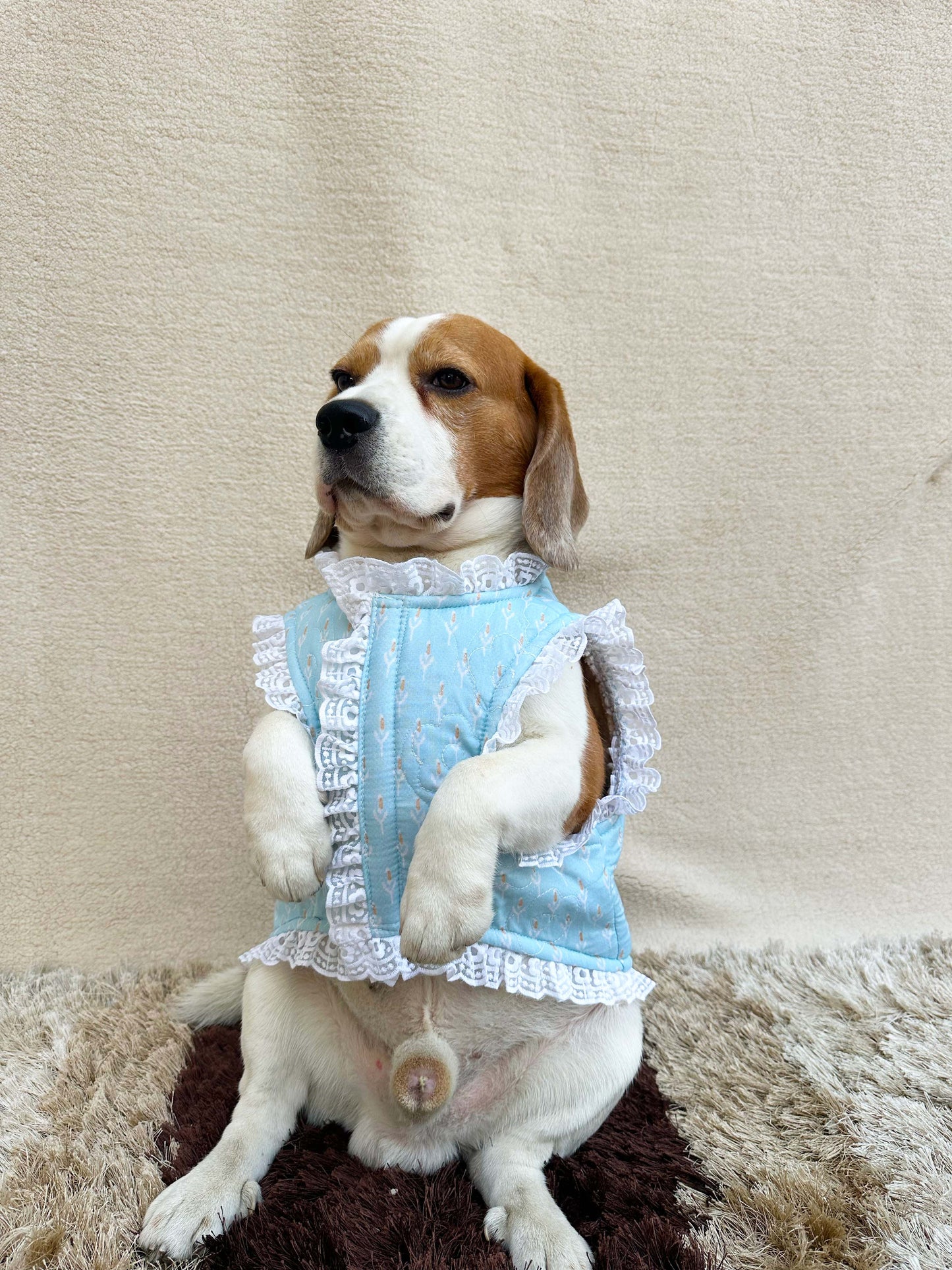 Blue Floral Quilted Vest