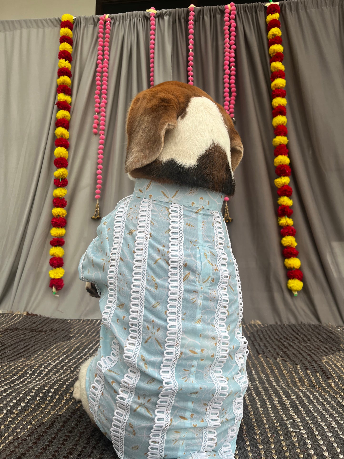 Blue Kurta Twinning set