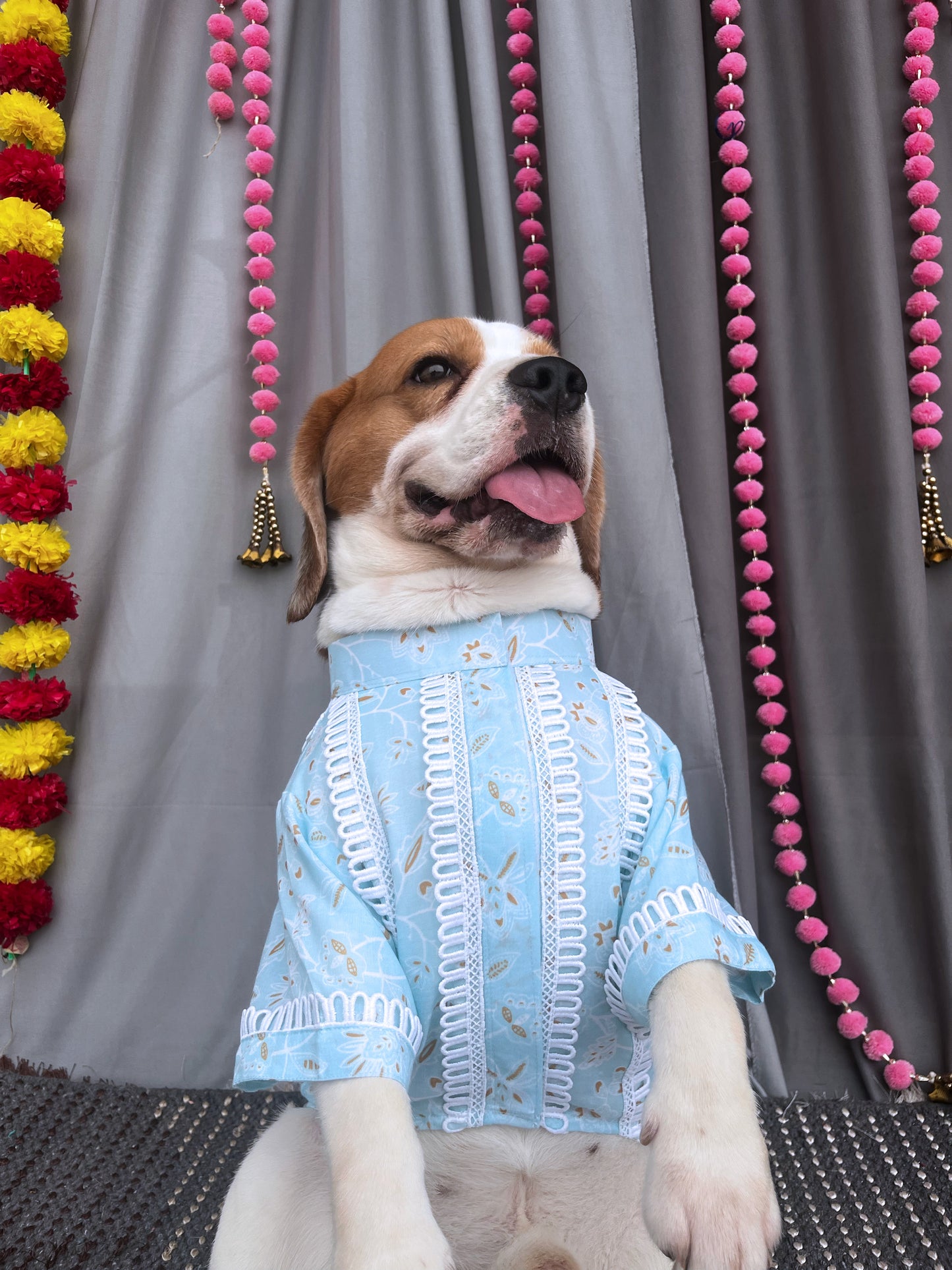 Blue KurtaTwinning set