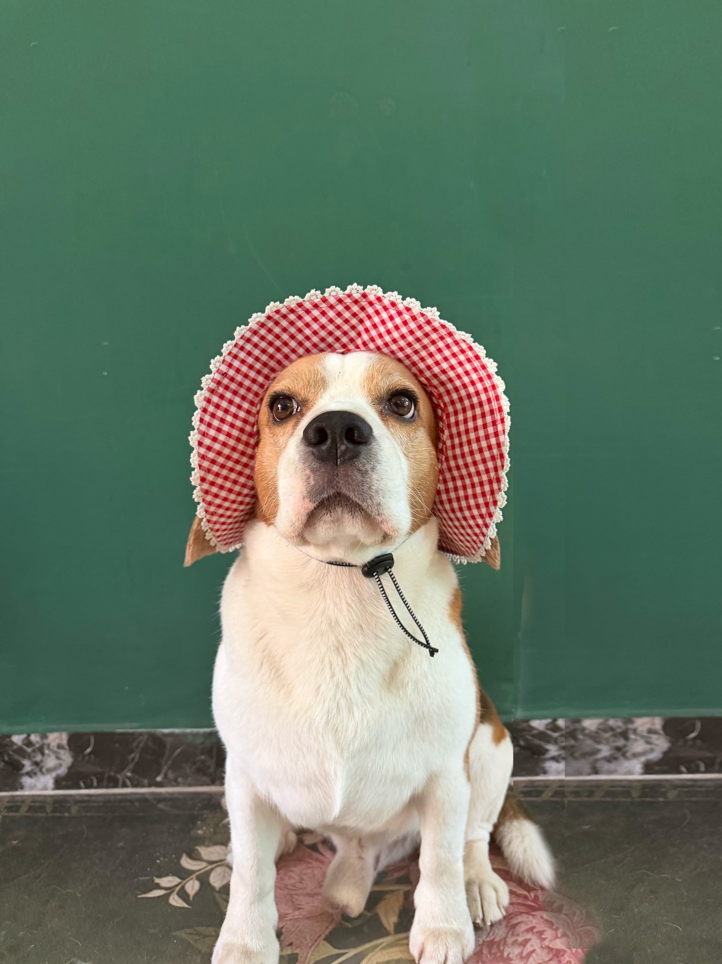 Red Gingham  Hat Twinning set