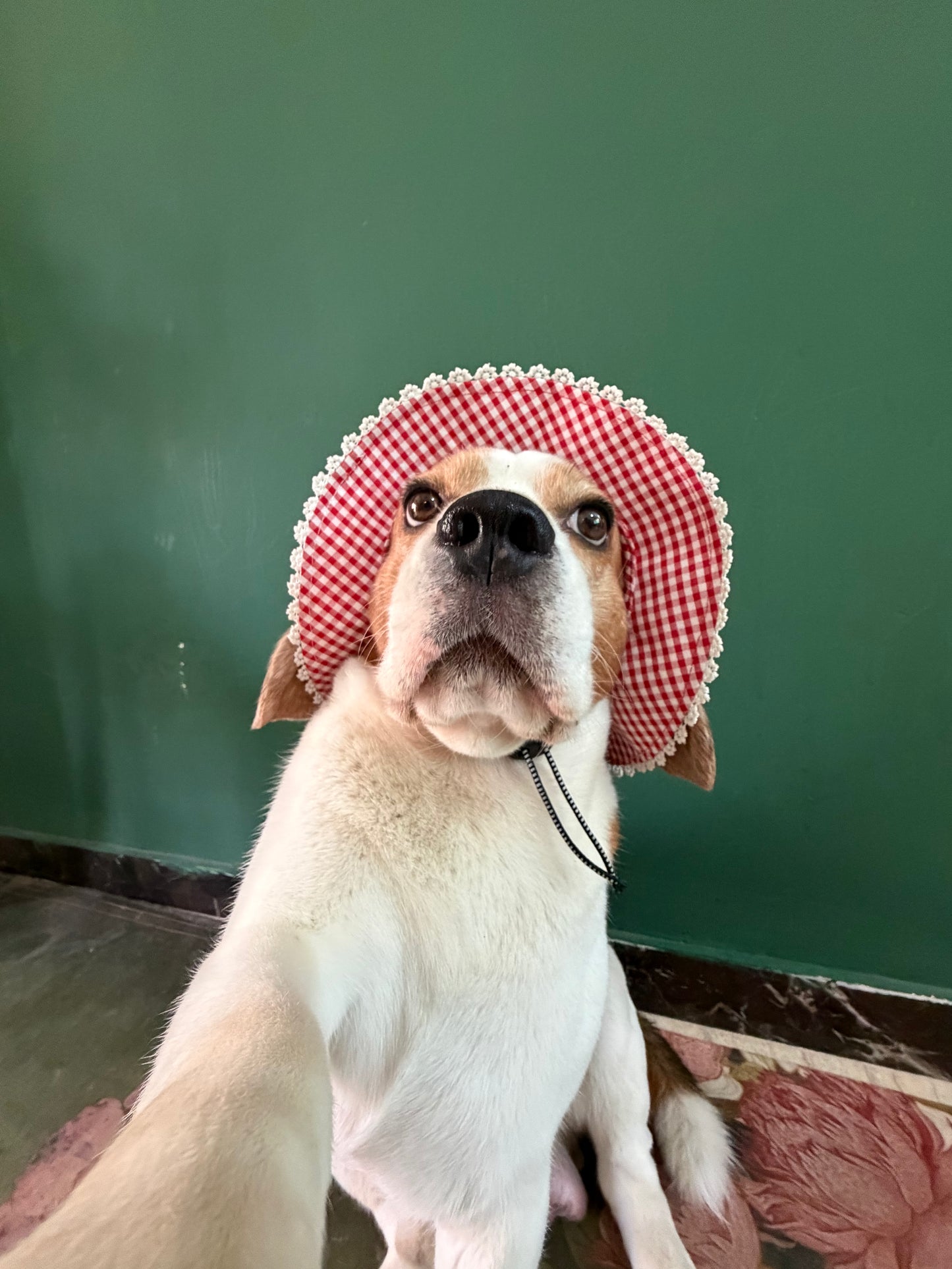 Red Checkered Hat