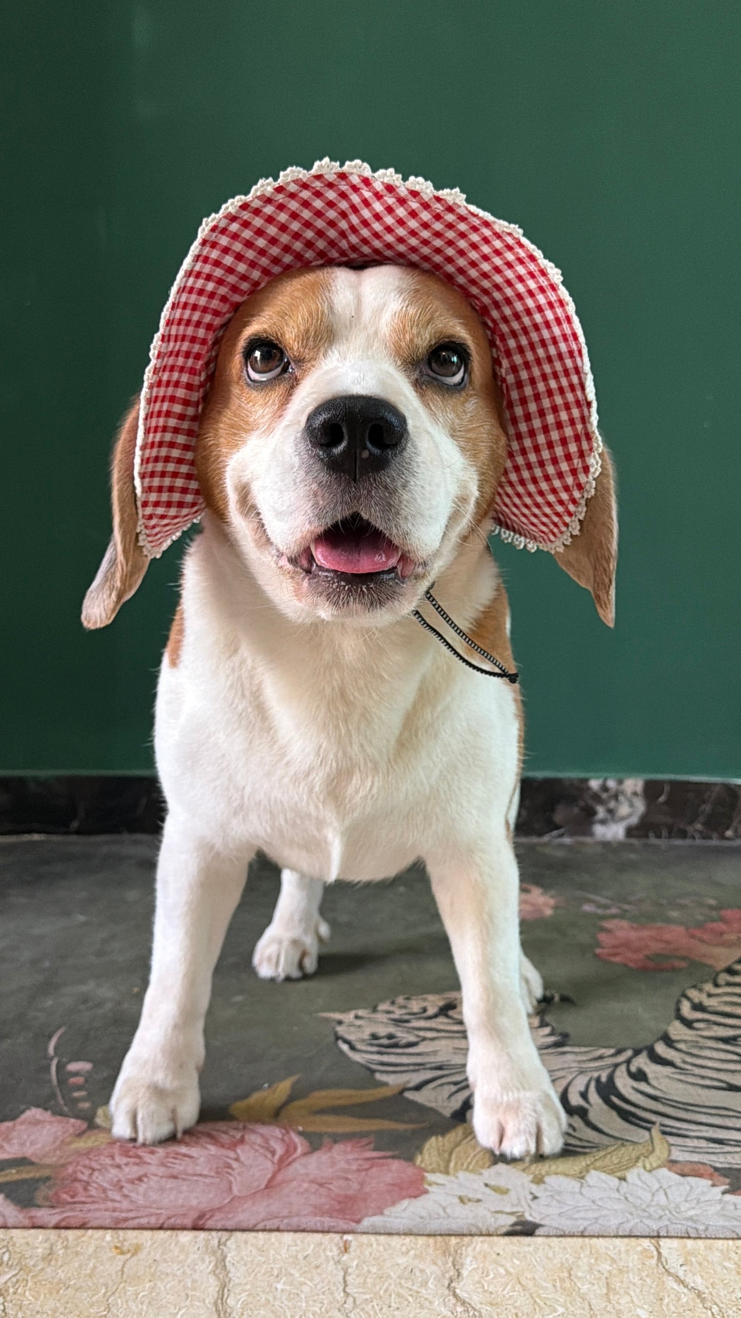 Red Checkered Hat