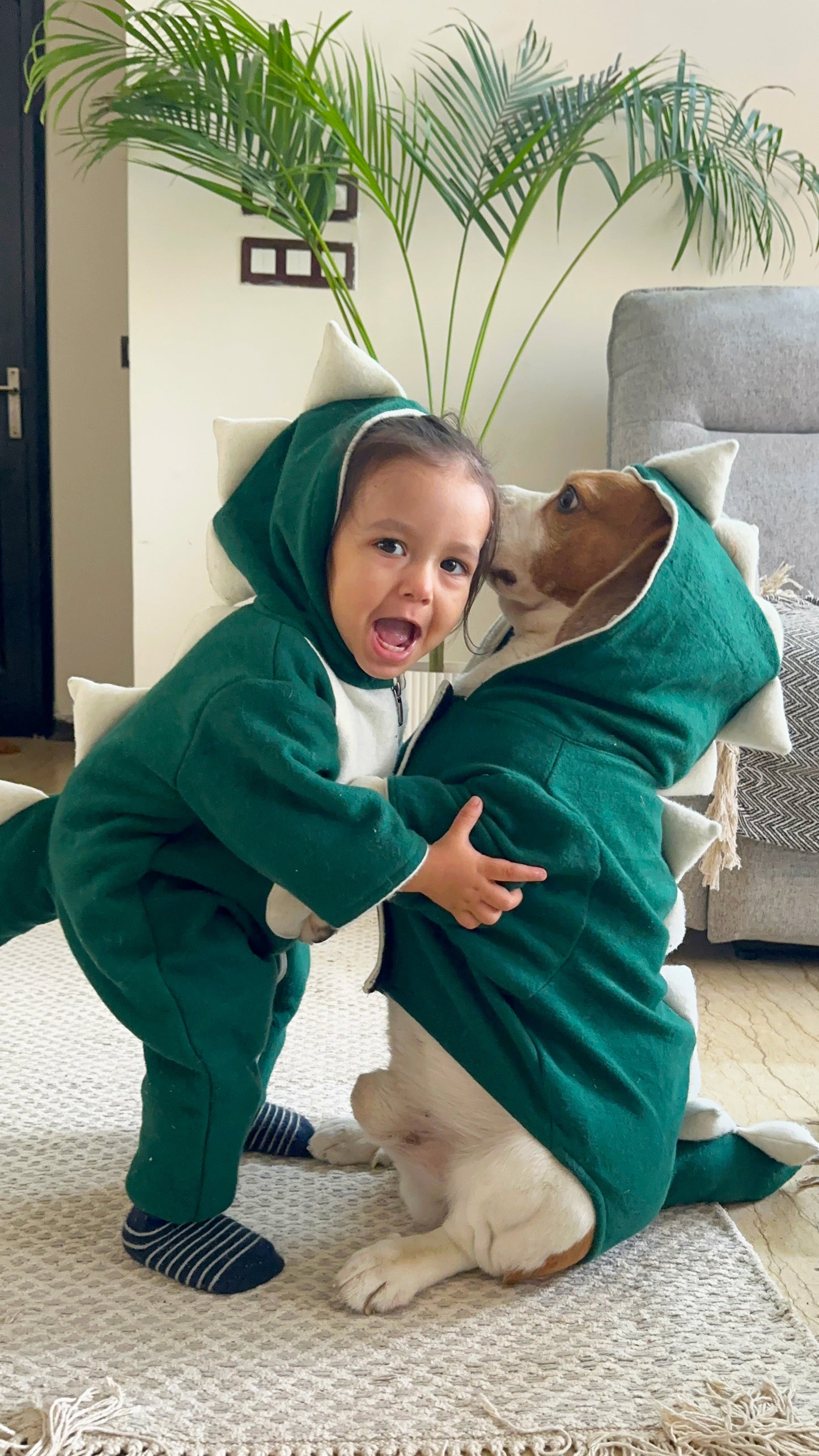 Green Dinosaur Hoodie Jacket