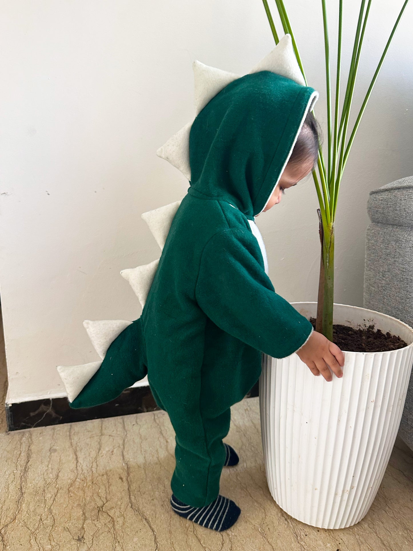 Green Dinosaur Hoodie Jacket