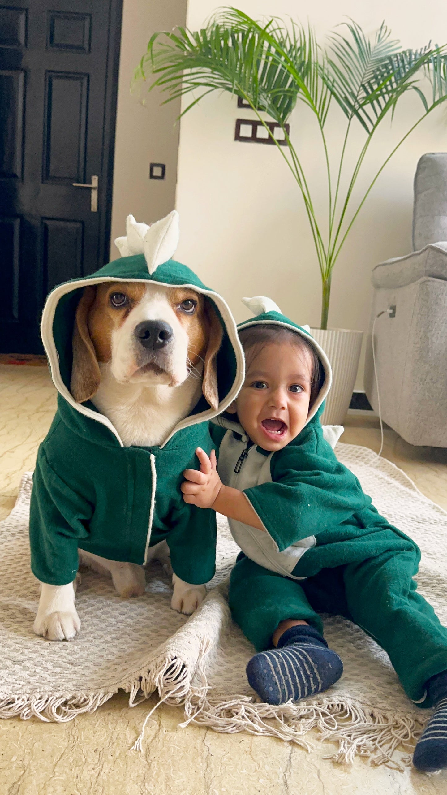 Green Dinosaur Hoodie Jacket
