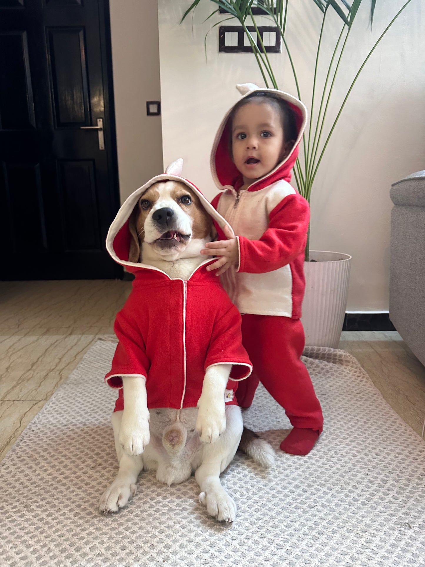 Red Dinosaur Hoodie Twinning set