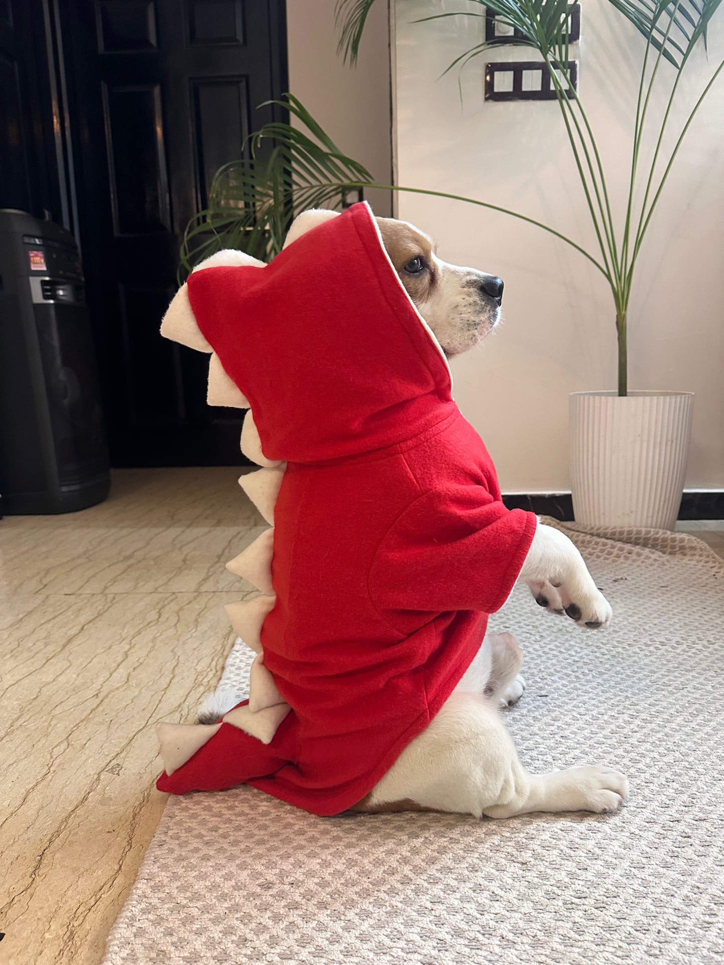 Red Dinosaur Hoodie Twinning set