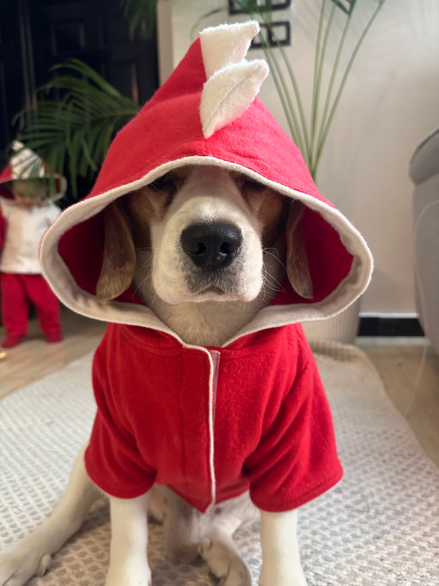 Red Dinosaur Hoodie Jacket