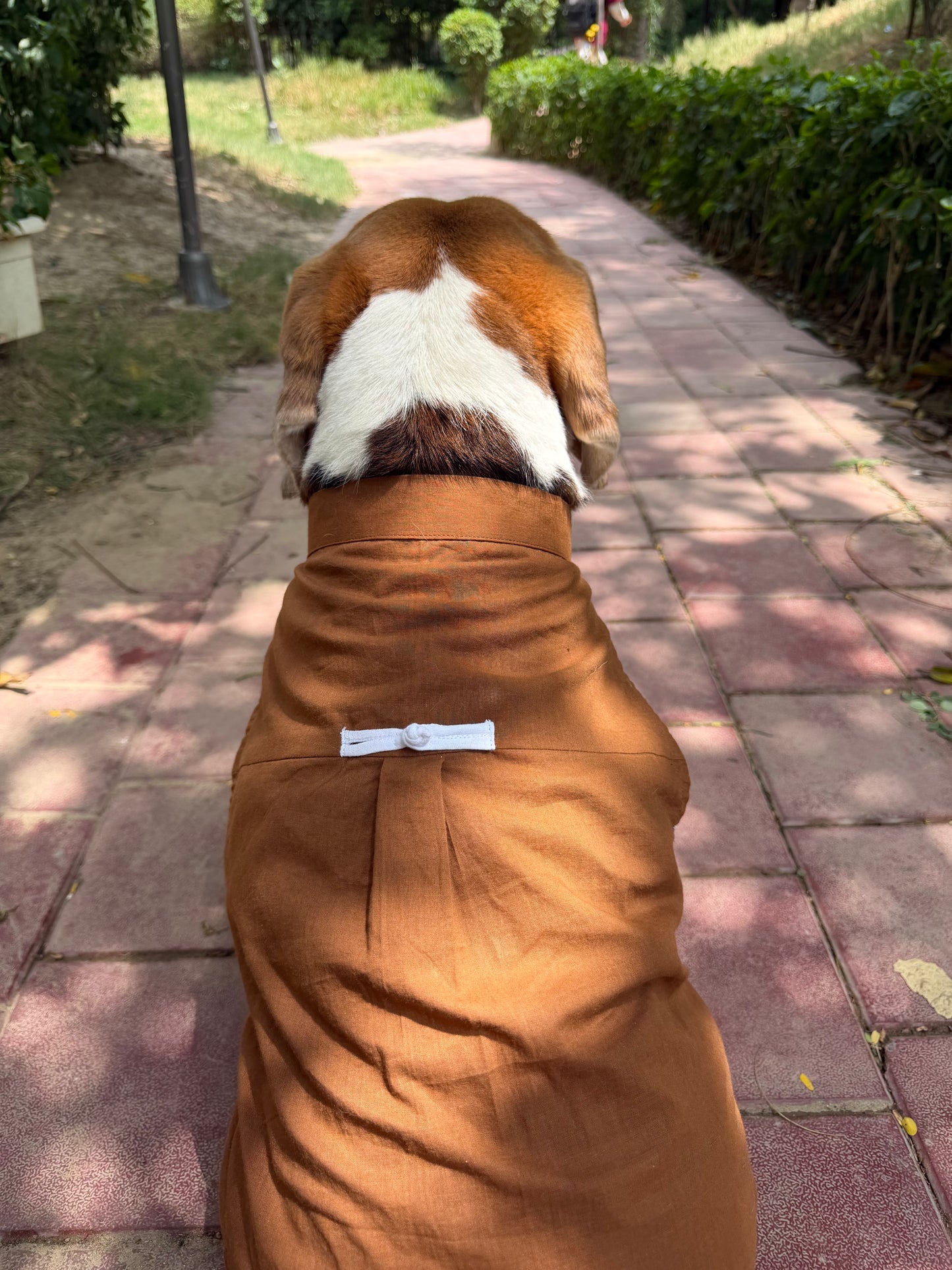Brown Mandarin Shirt