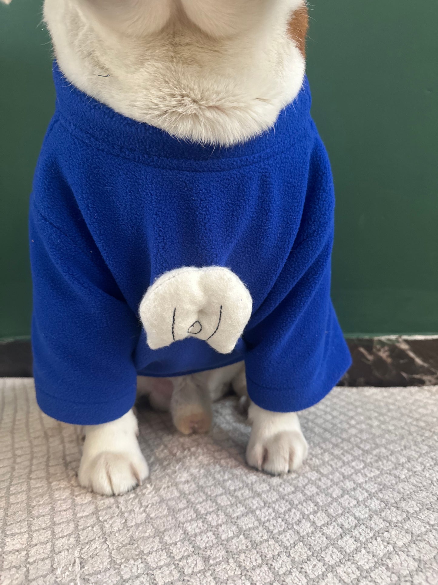 Blue Sweatshirt Twinning set