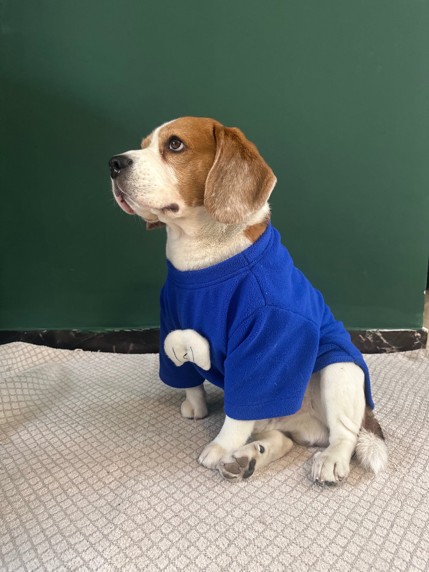 Blue Doodle Sweatshirt