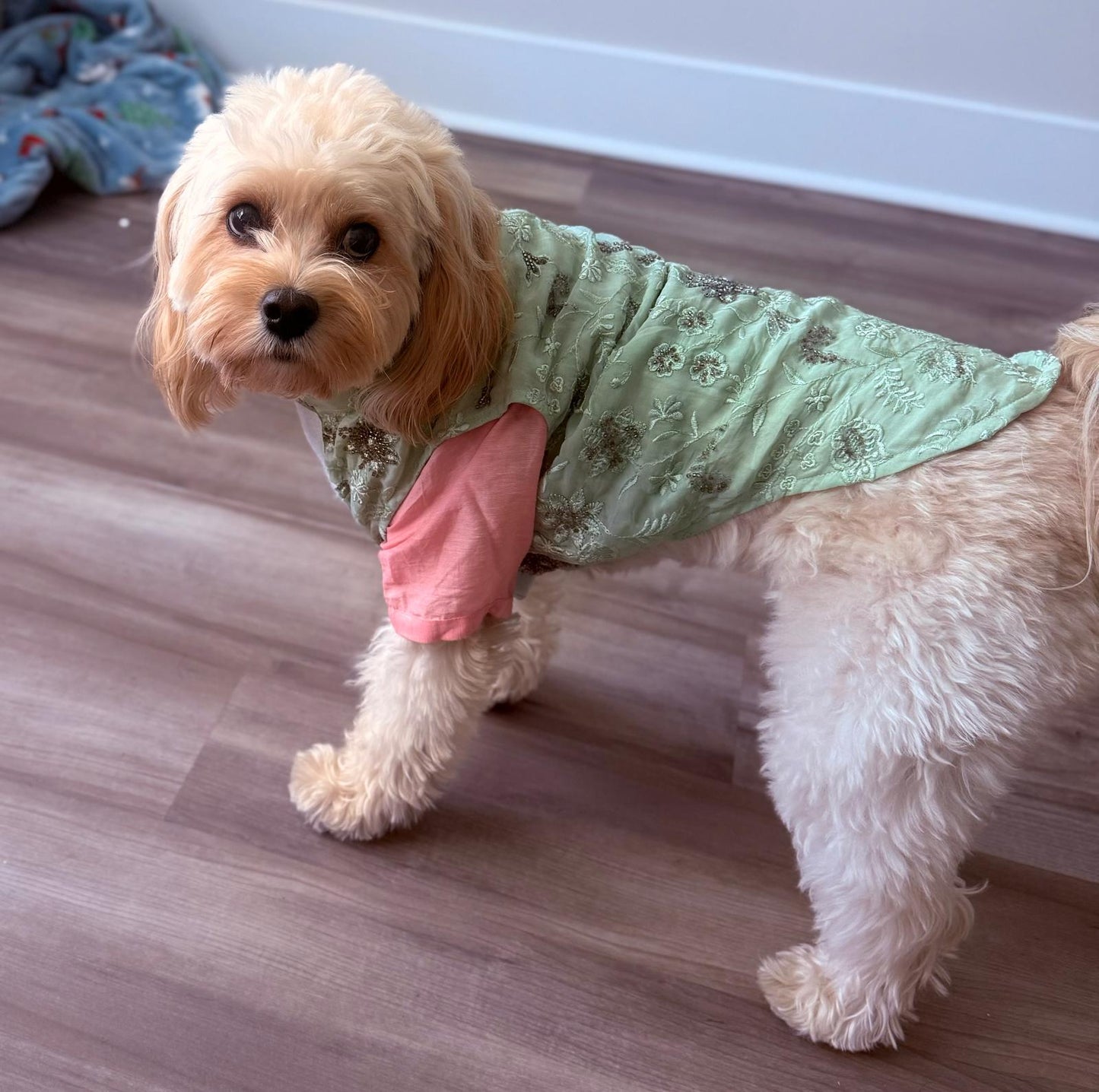 Pink Colour Blocked Nehru Jacket Kurta Set